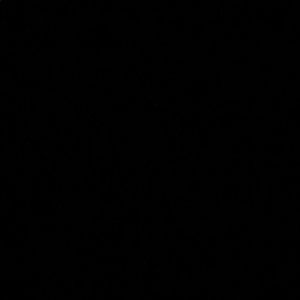 Meet your Posher, Sami